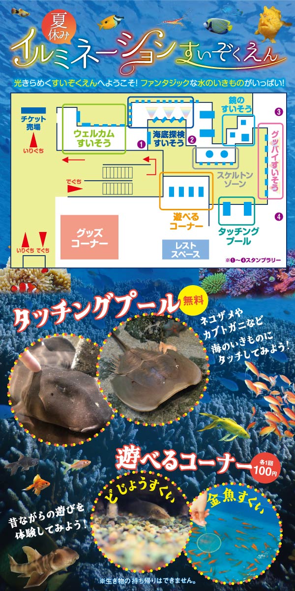イルミネーションすいぞくえん